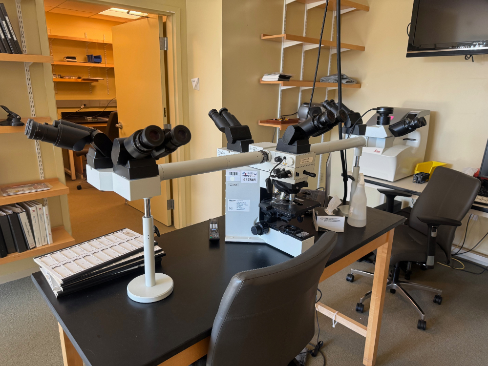 Image of Olympus BX50 Training Microscope